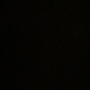 Meet your Posher, Skylor